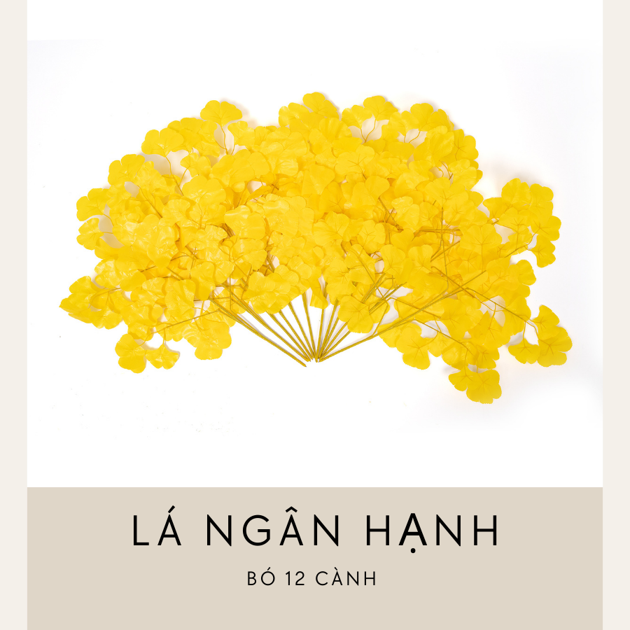 ngân hạnh giả lá vàng - DVN 2