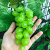 chùm nho giả trang trí -DVN