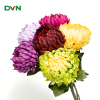 Cúc mẫu đơn giả trang trí - DVN 17