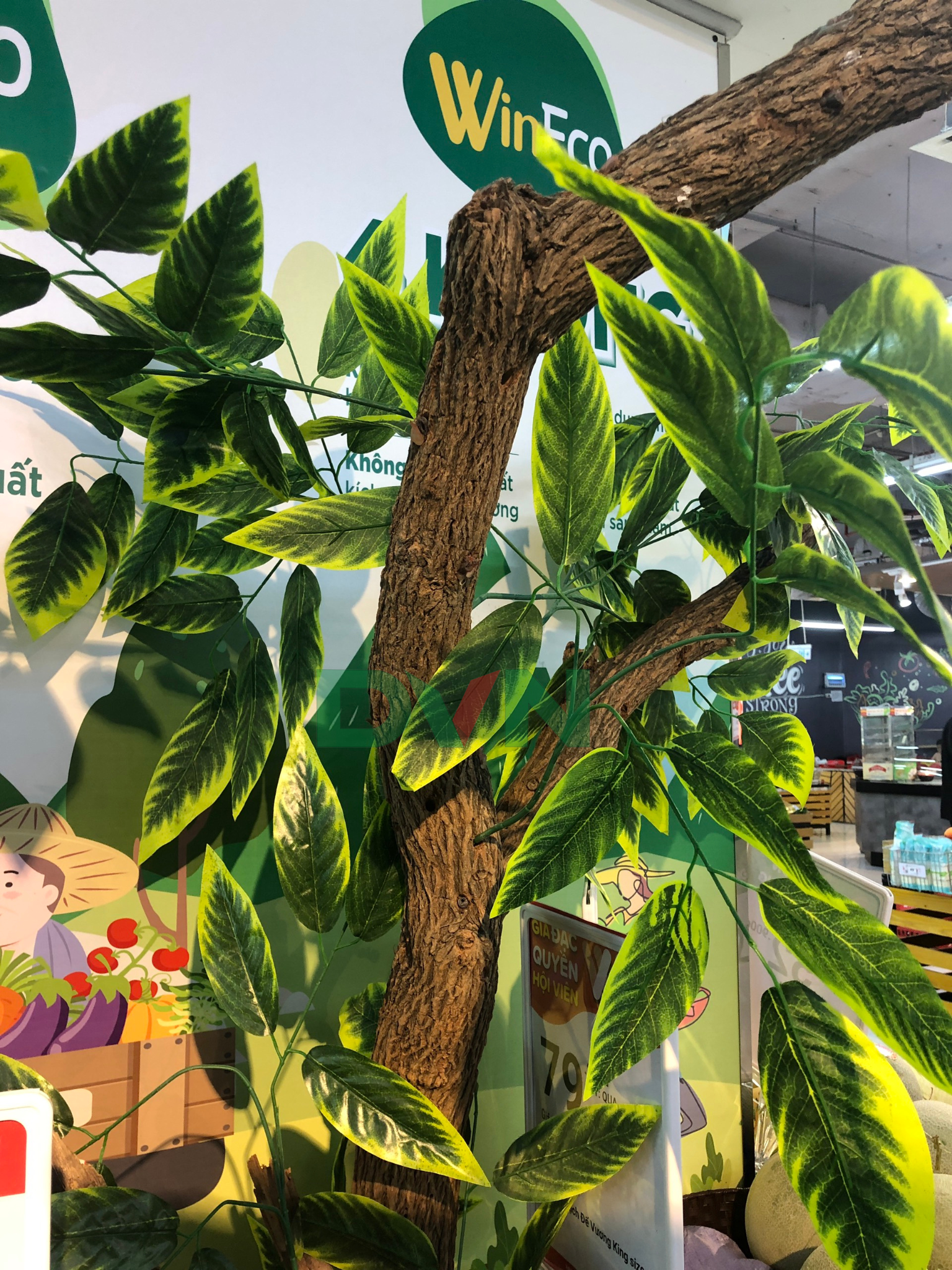 lá kim tứ 3 nhánh giả trang trí - DVN 7