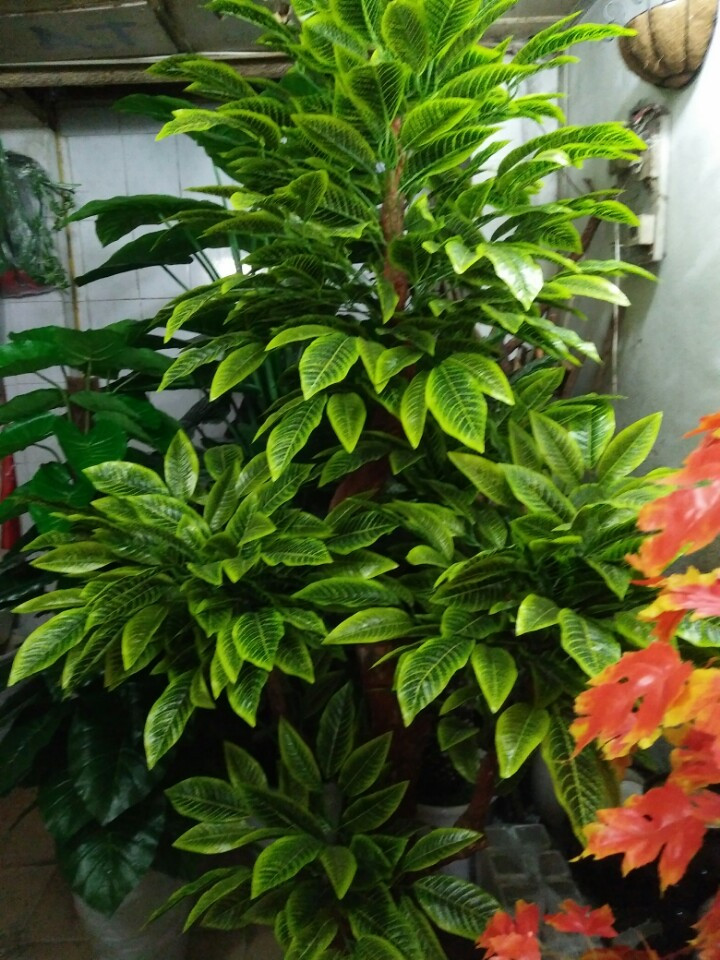 lá kim tứ 3 nhánh giả trang trí - DVN 2