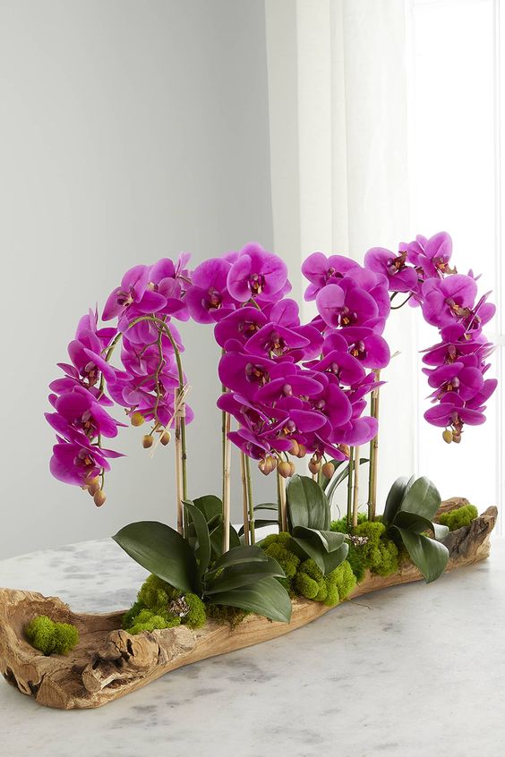 lan hồ điệp nhân tạo giá rẻ - DVN tổng kho hoa lụa 2