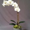 Hoa lan hồ điệp giả trang trí - DVN 19