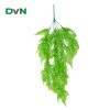 cành dương sỉ xanh non loại dài, giá rẻ - DVN 1
