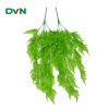 cành dương sỉ xanh non loại dài, giá rẻ - DVN 2