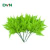 cành điểm dương sỉ mã CDD17 - DVN 2