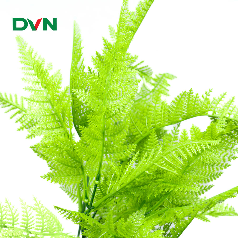 cành điểm dương xỉ mã CDD17 - DVN 4