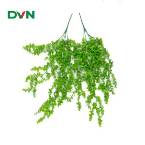 cành tai chuột rủ xanh non - DVN 1