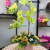 cành điểm lá ô liu - cành hoa baby - lan hồ điệp - cúc mẫu đơn giả trang trí - DVN 1
