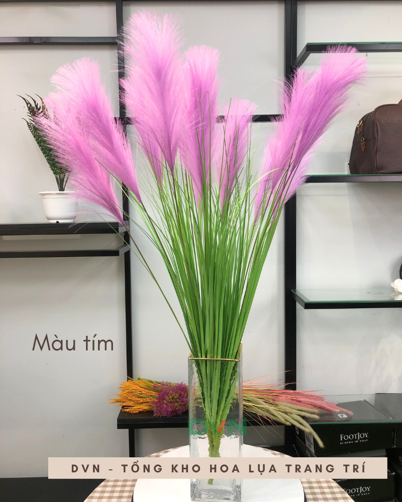 cành bông lau trqng trí giá rẻ - DVN 7