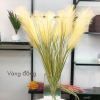 cành bông lau trqng trí giá rẻ - DVN