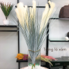 cành bông lau trqng trí giá rẻ - DVN 1