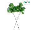 hoa dương tuyết cầu nhân tạo giá rẻ - DVN 1