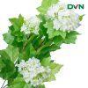 hoa dương tuyết cầu nhân tạo giá rẻ - DVN 7