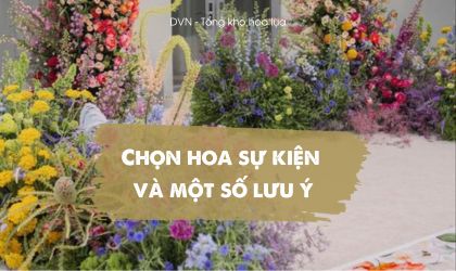 chọn hoa sự kiện và một số lưu ý - DVN