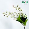 hoa sứ cắm bình decor sự kiện, tiệc cưới giá rẻ - DVN tổng kho hoa lụa 1