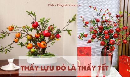 lựu được nhiều người mua vào dịp tết - DVN