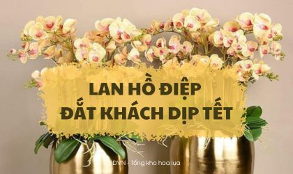 lan hồ điệp nhân tạo giá rẻ - DVN tổng kho hoa lụa