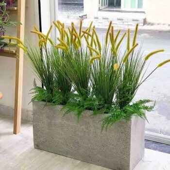 cỏ đuôi chồn giá rẻ - DVN tổng kho hoa lụa 6 