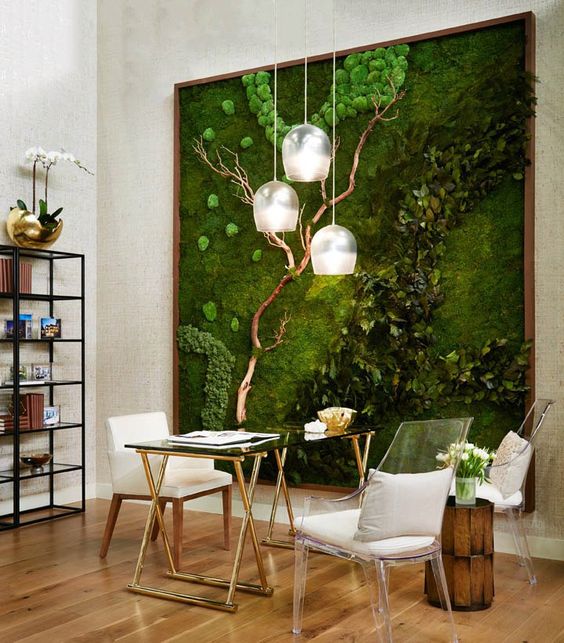 làm mảng tường xanh từ thảm cỏ cải xoong, tai chuột, thảm rêu giá rẻ - DVN 2