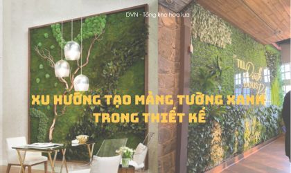 làm mảng tường xanh từ thảm cỏ cải xoong, tai chuột, thảm rêu giá rẻ - DVN
