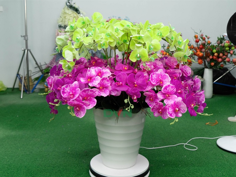 lan hồ điệp nhân tạo giá rẻ - DVN tổng kho hoa lụa 2