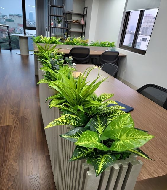 mẫu ý tưởng trang trí văn phòng từ cây lá nhân tạo đẹp, sang trọng - DVN tổng kho hoa lụa 6