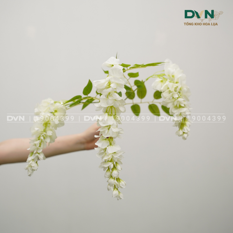 Hoa đậu biếc lụa - Tổng kho hoa lụa DVN