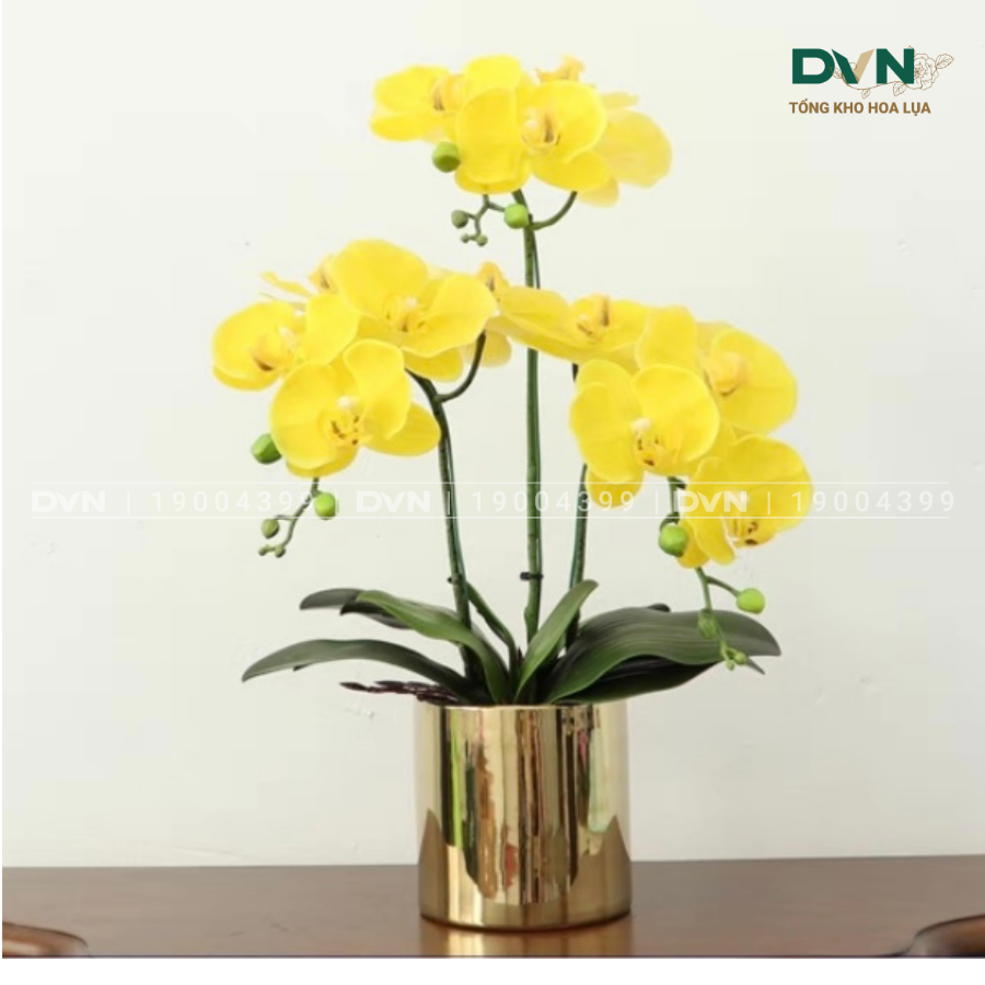 Hoa Lan Hồ Điệp Nhân Tạo: Vẻ Đẹp Sang Trọng Bền Bỉ Theo Thời Gian