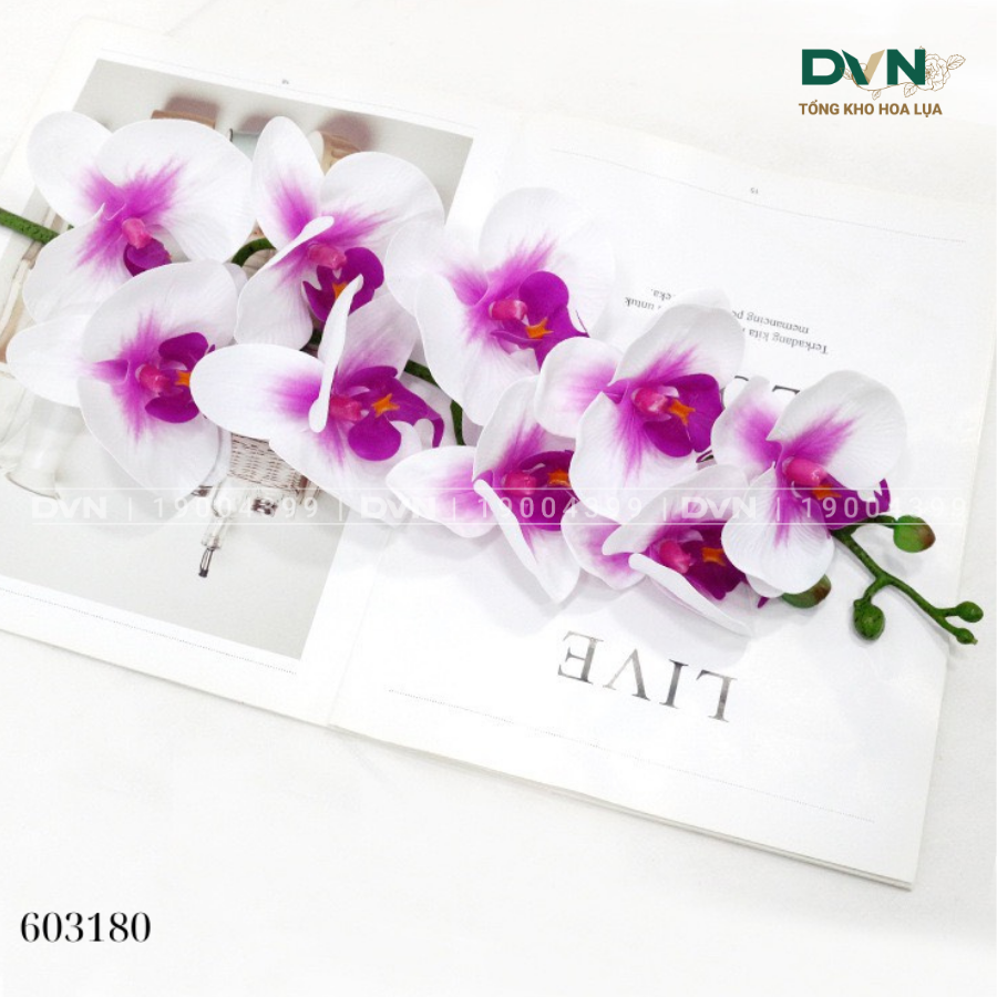 Hoa Lan Hồ Điệp Nhân Tạo: Vẻ Đẹp Sang Trọng Bền Bỉ Theo Thời Gian
