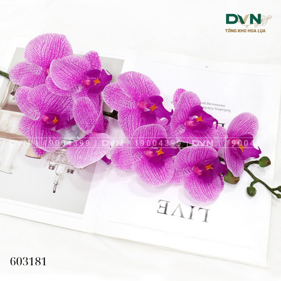 Hoa Lan Hồ Điệp Nhân Tạo: Vẻ Đẹp Sang Trọng Bền Bỉ Theo Thời Gian