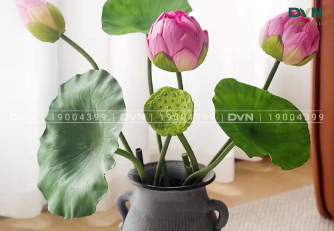 Ứng dụng của hoa sen giả trong trang trí