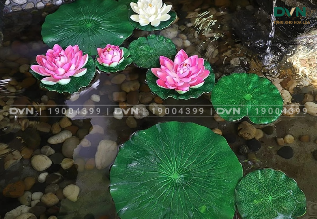 Ứng dụng của hoa sen giả trong trang trí