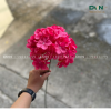 Hoa cẩm tú cầu 1 nhánh - DVN Thế giới hoa lụa