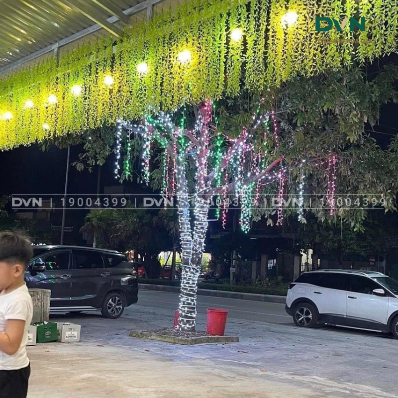Ứng dụng cúc tần rủ