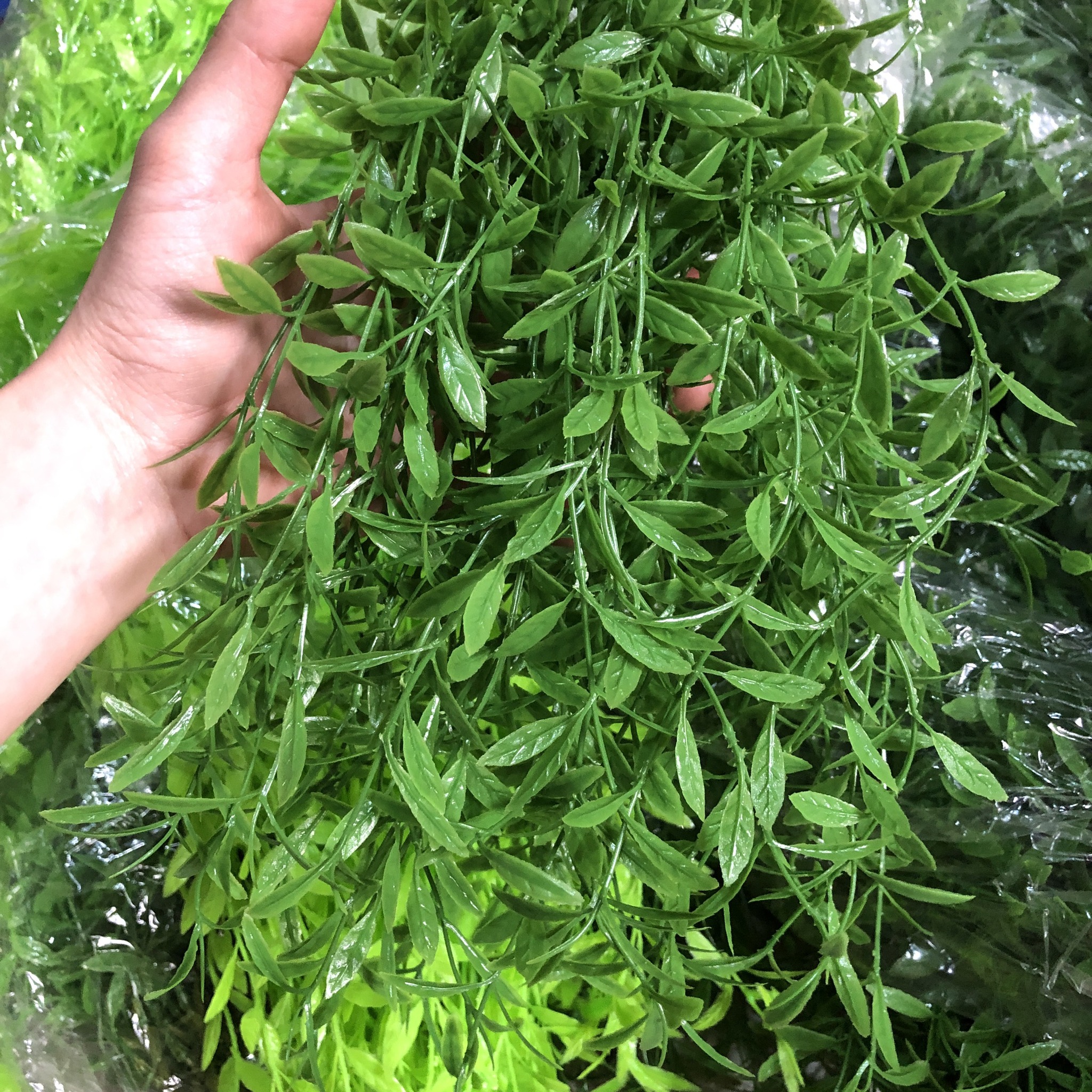 Cúc tần rủ nhân tạo