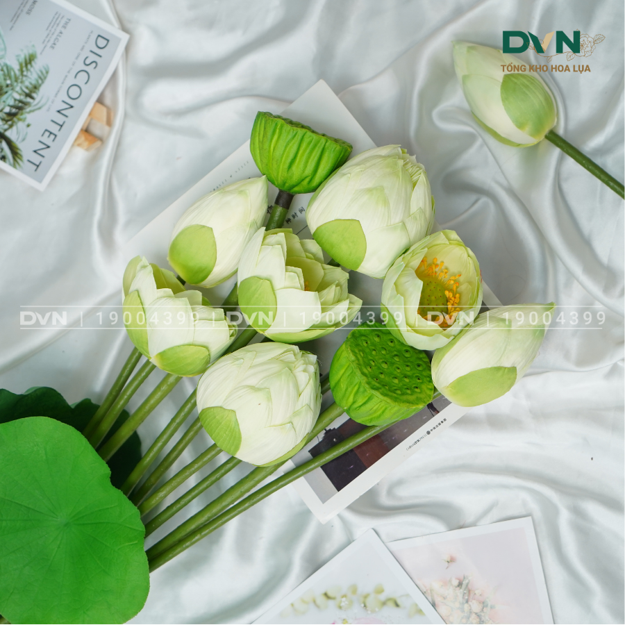 Hoa sen quan âm - DVN tổng kho hoa lụa