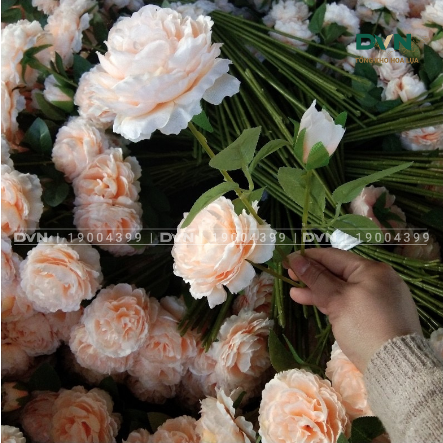 Hoa hồng mẫu đơn lụa tô điểm không gian thêm đẹp mắt