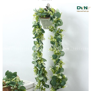 Cành điểm dây lá nguyệt quế