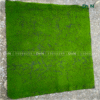 Thảm rêu nhân tạo - DVN