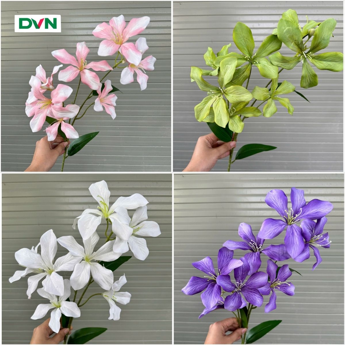 cac-loai-hoa-gia-trang-tri