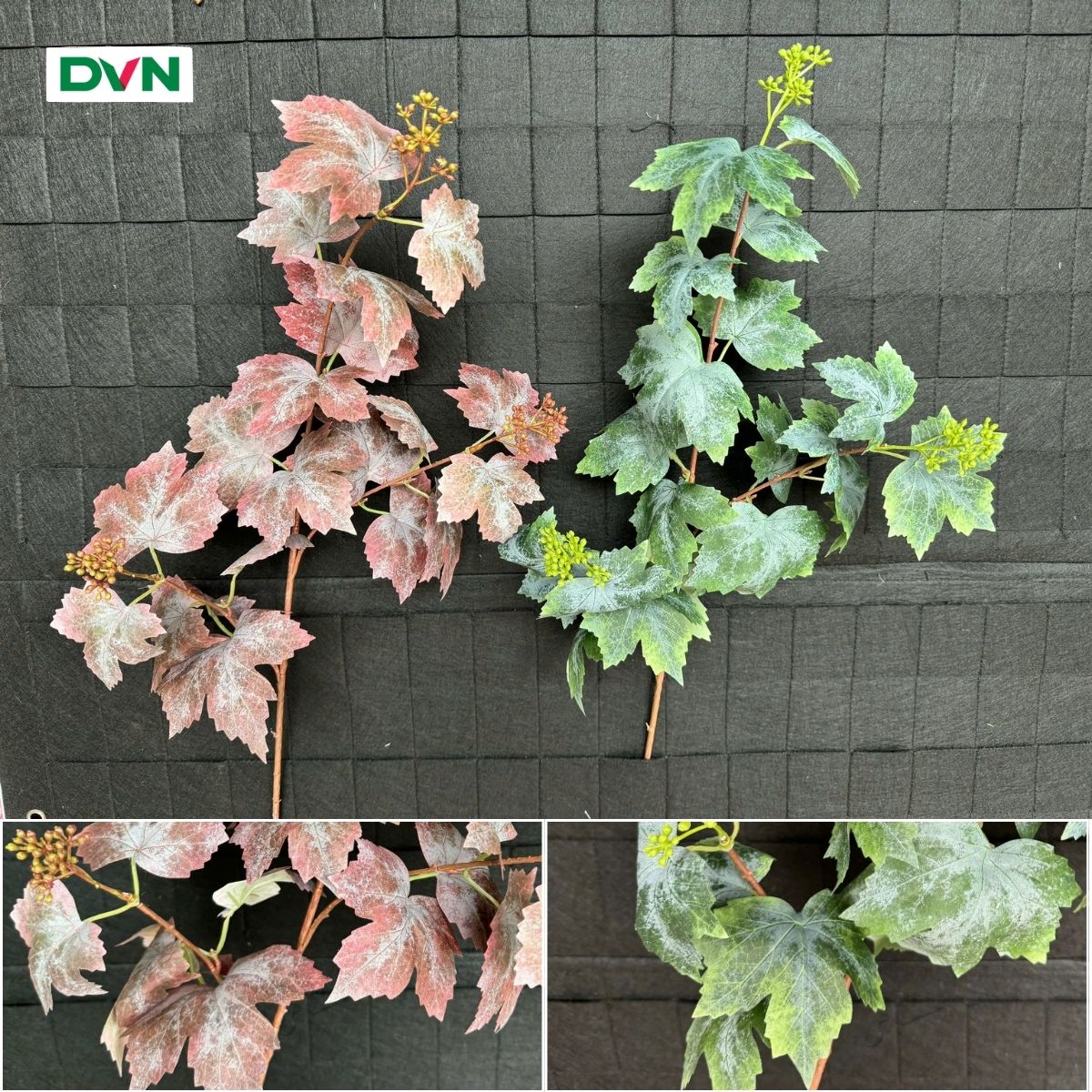 Lá Nho Mốc 2 Màu