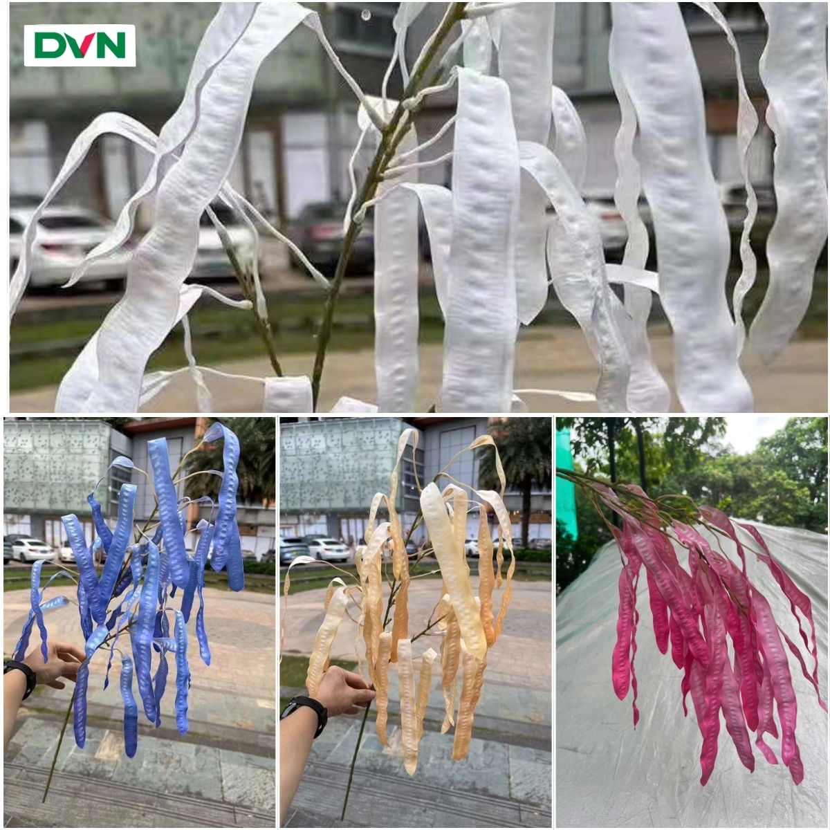 Cành quả bồ kết cao su