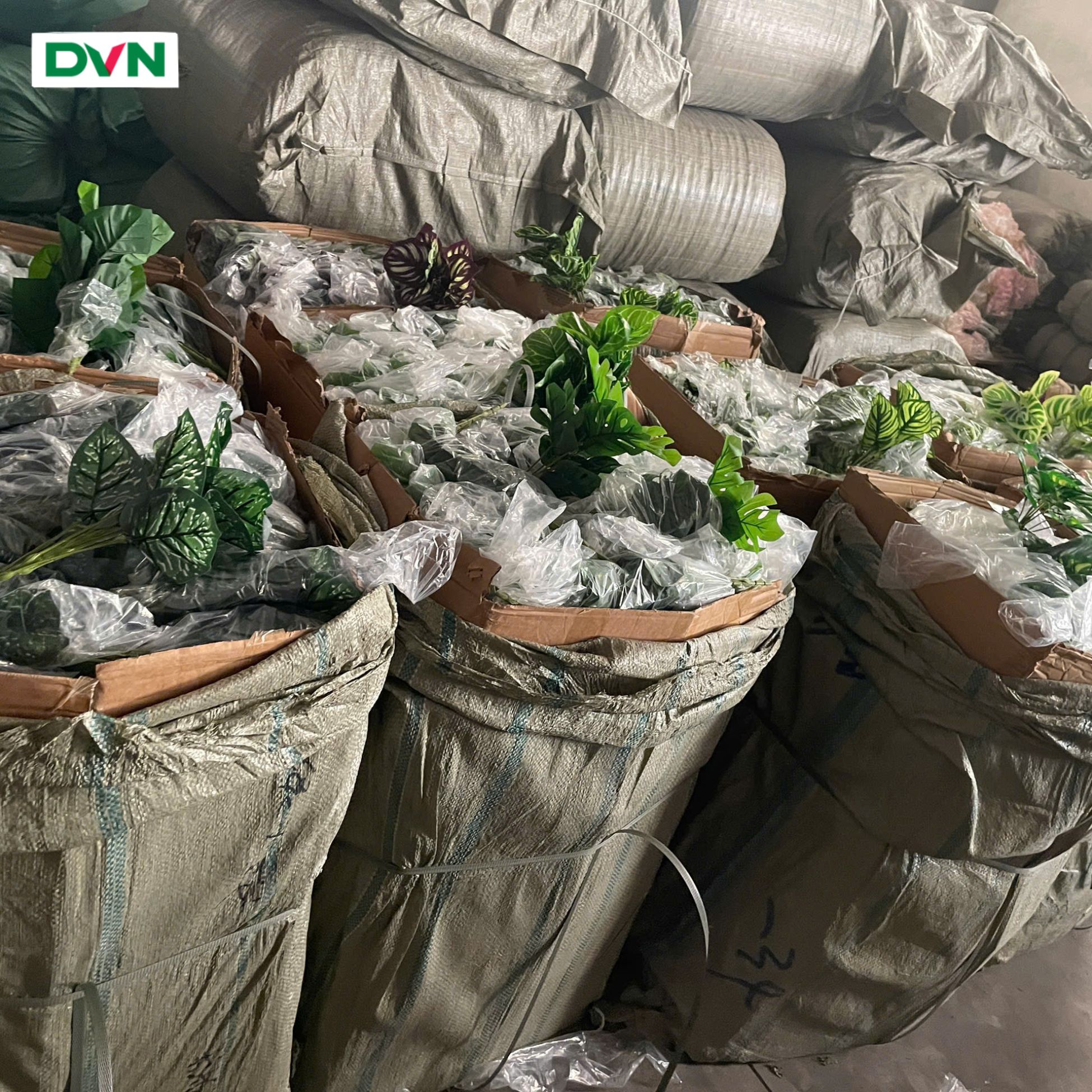 nguồn sỉ hoa giả