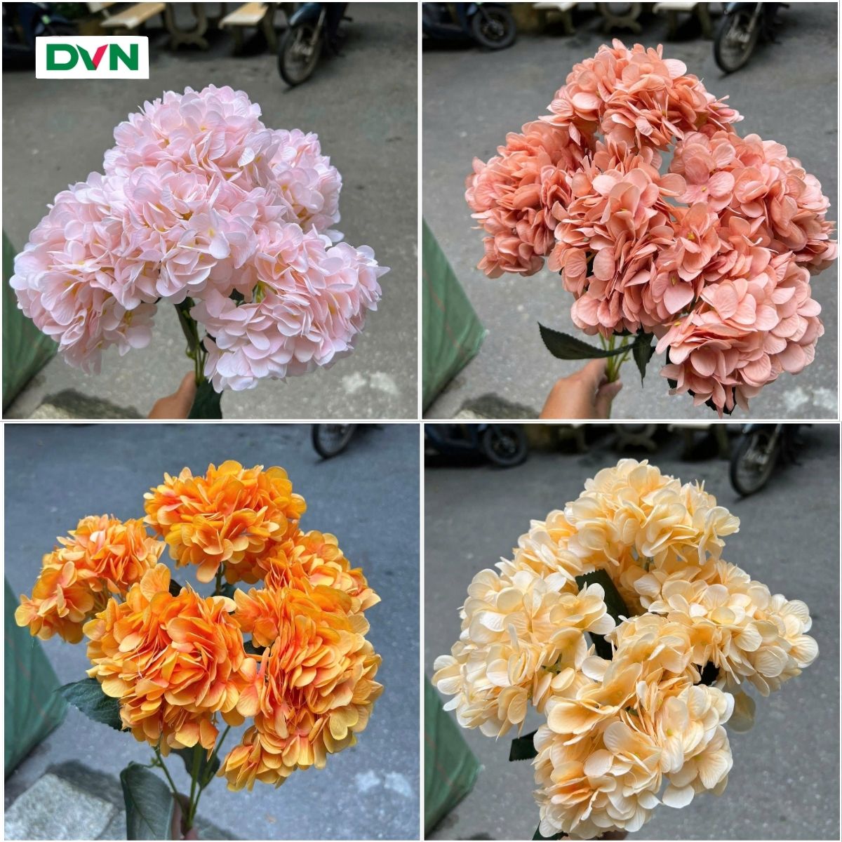 Hoa Tú cầu 5 nhánh