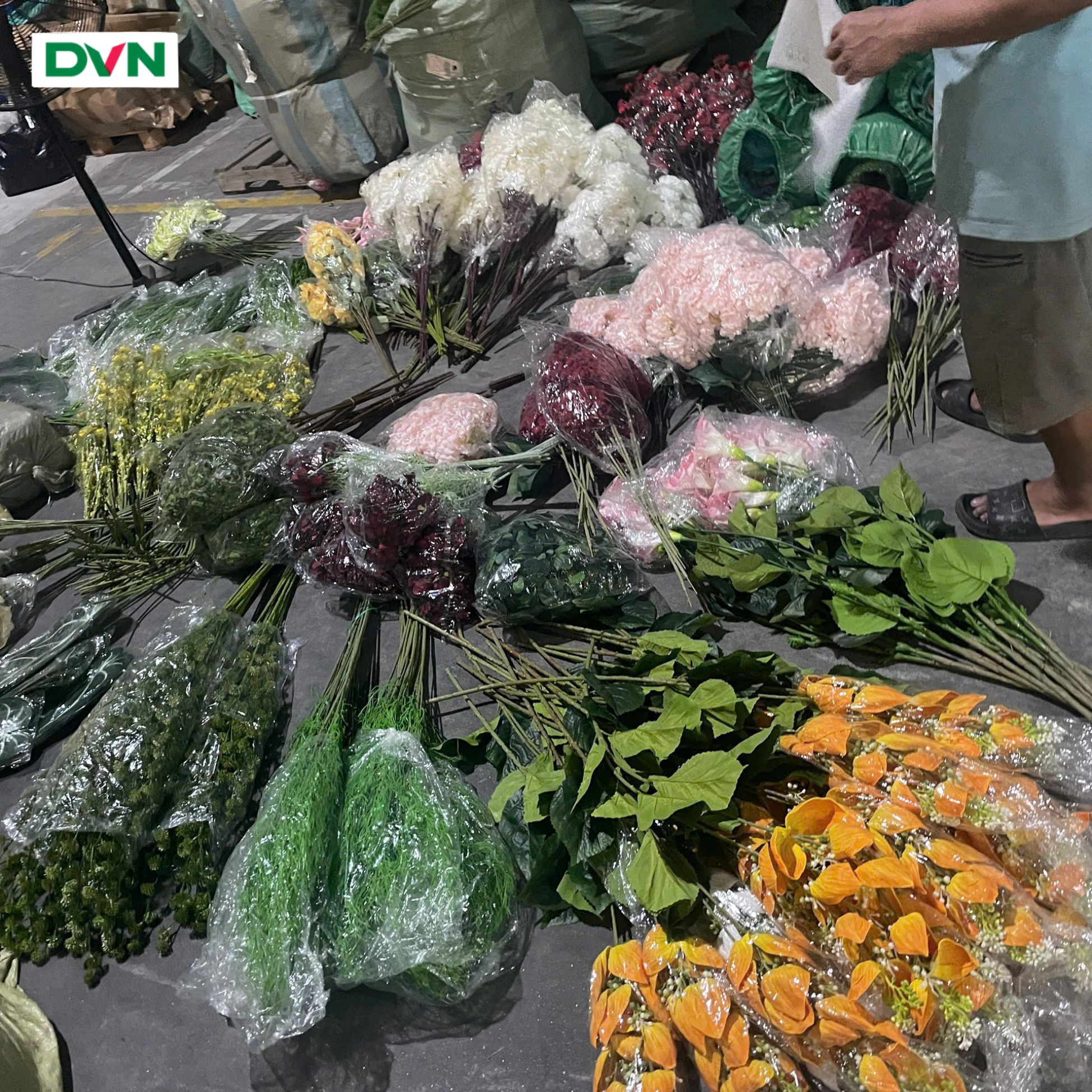 nguồn sỉ hoa giả