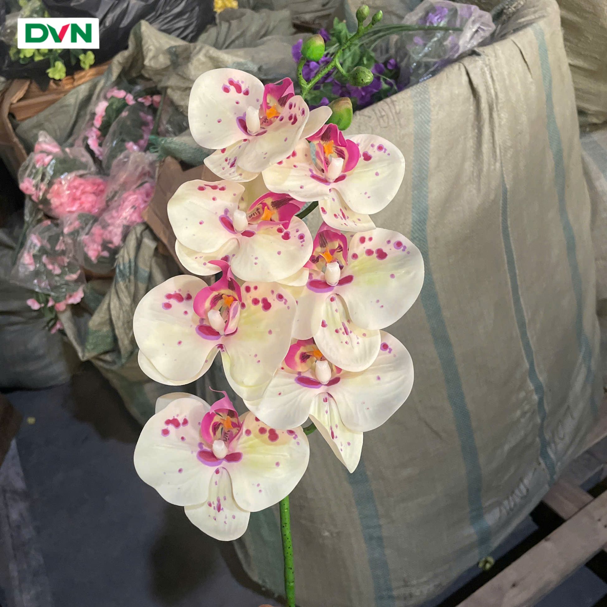 nguồn sỉ hoa giả