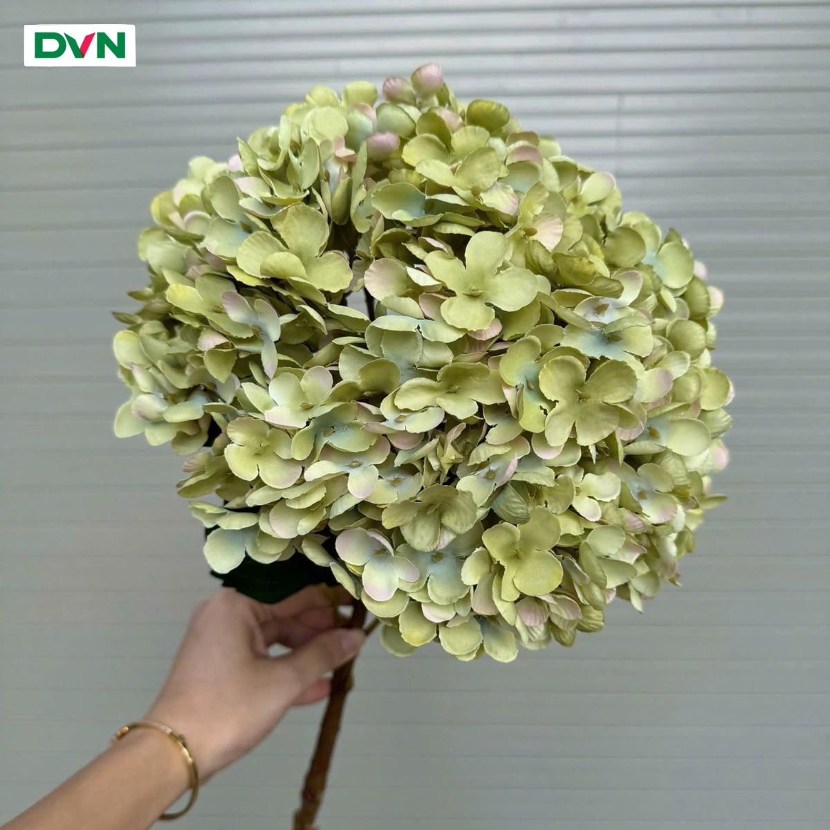 8 Hoa Cẩm tú cầu