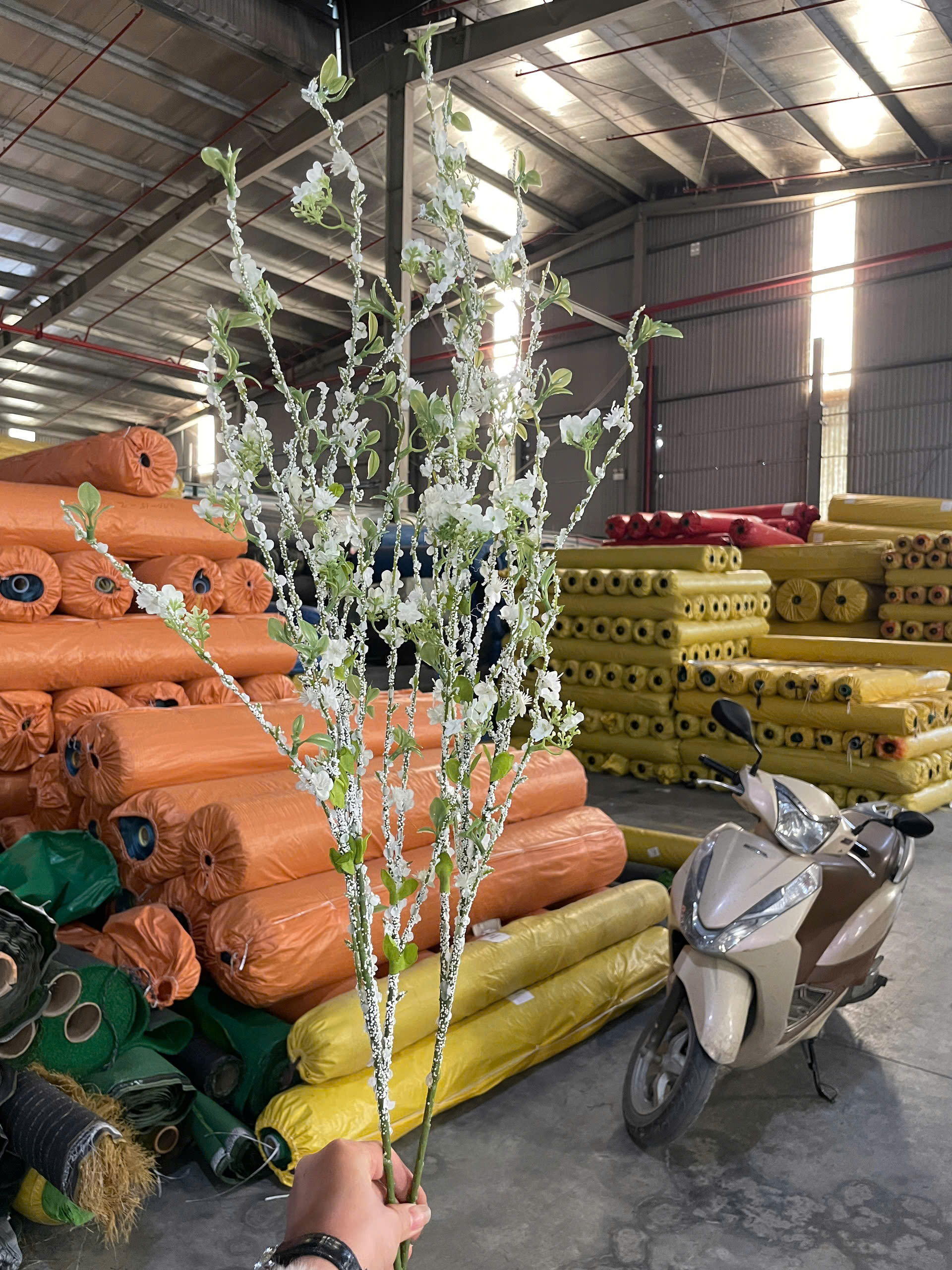 z7412598836665_39dad89e453ab087d24a2d07571f5b22