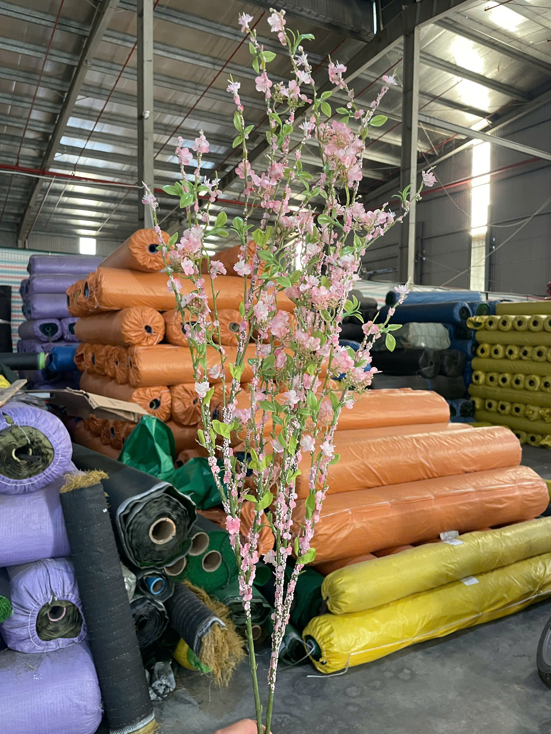 z7412598862407_abc8767df0a9ecb77e2720335572f750